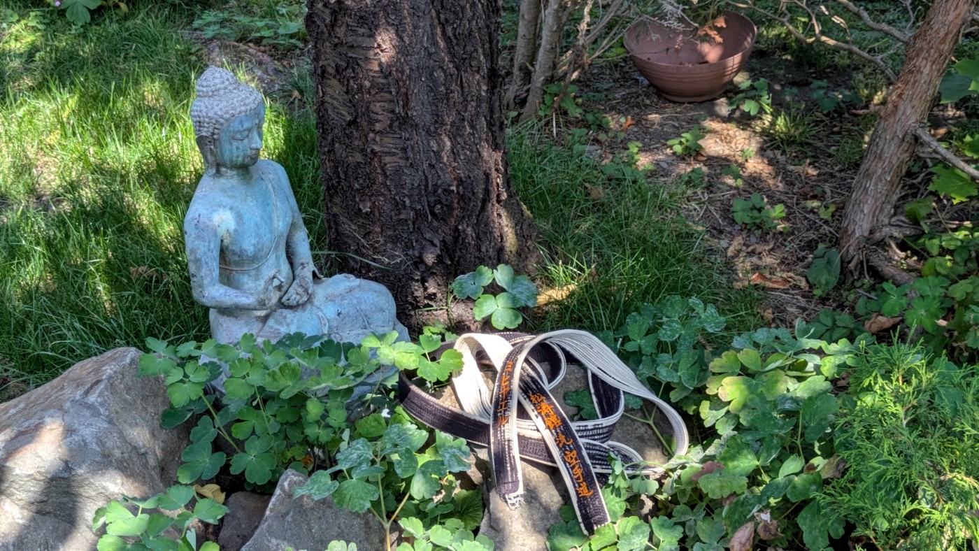 Schwarzer Karategürtel im grünen Garten neben einer Buddhafigur